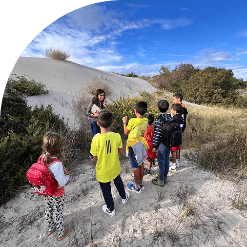 immagine materiali didattici